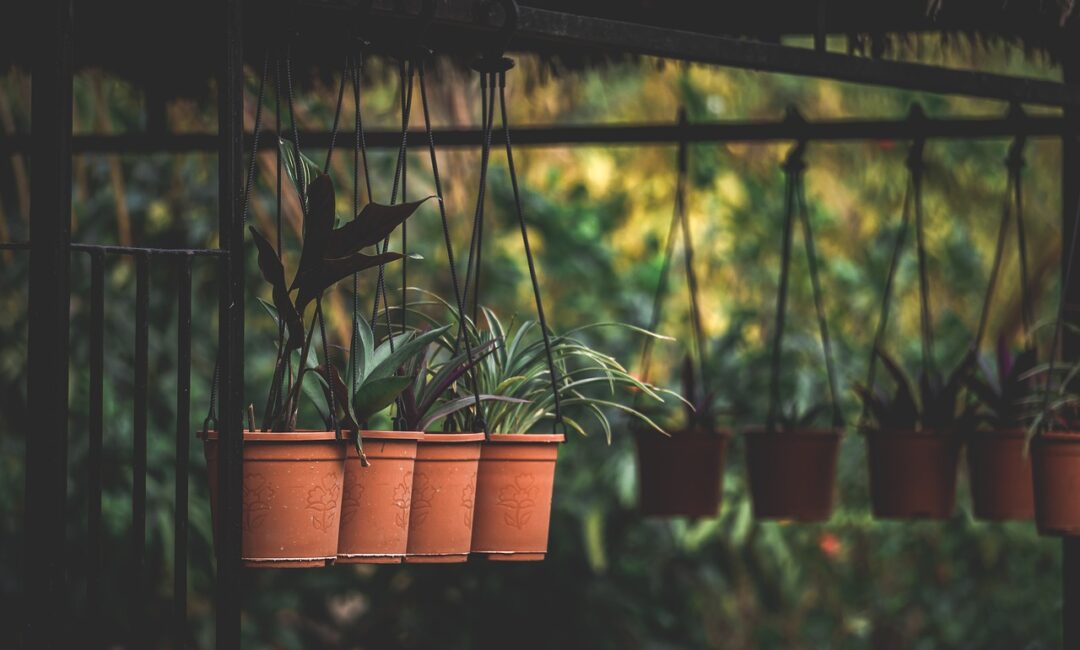 L_art_d_aménager_sa_terrasse_avec_des_pots_:_astuces_et_conseils