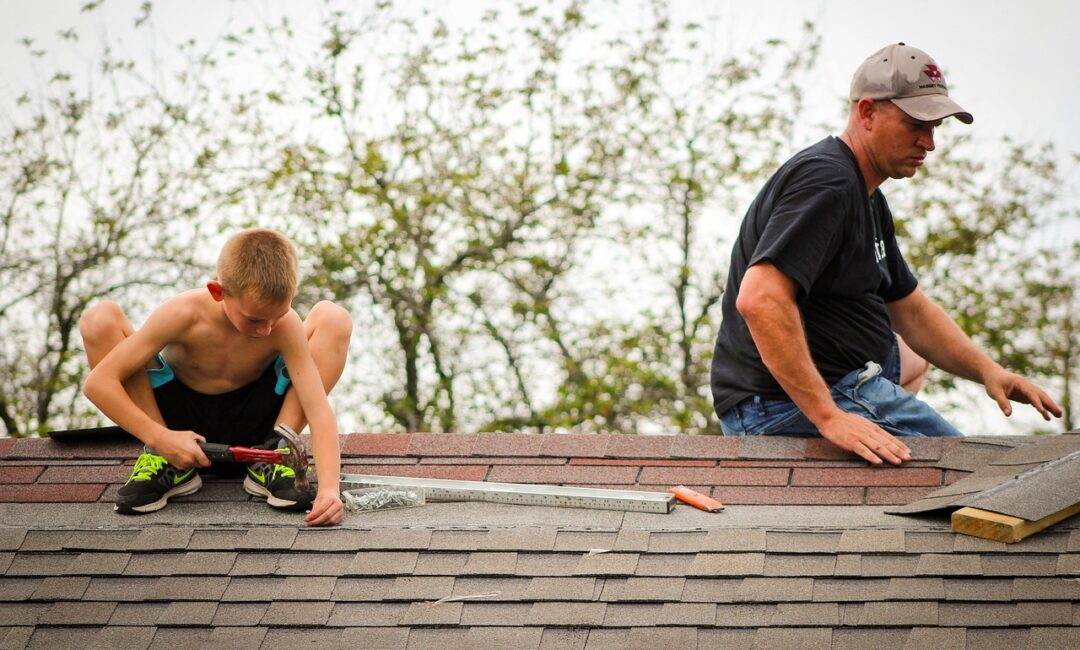Les_secrets_de_L_Artisanat_Écologique:_Construire_sa_propre_toiture_végétalisée